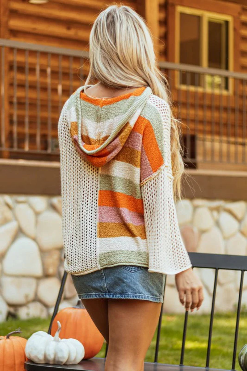 Harper Oversized Colorblock V Neck Hooded Sweater